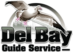 DelBay Guide Logo